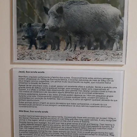 Casas Da Serra - Soeima Housing カントリーハウス