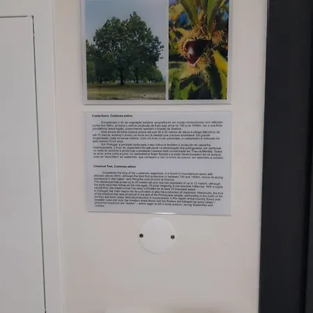 Casas Da Serra - Soeima Housing Летний дом Алфандега-да-Фе