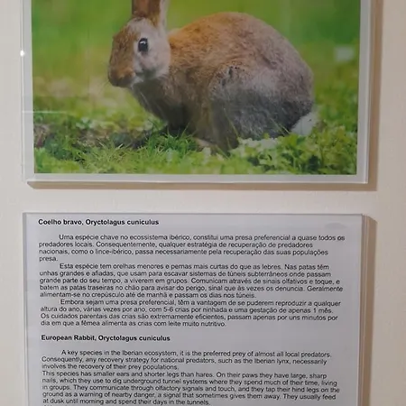 Casas Da Serra - Soeima Housing *