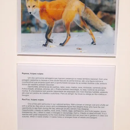 Casas Da Serra - Soeima Housing Country house Alfandega Da Fe