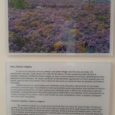 Casas Da Serra - Soeima Housing