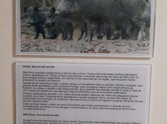 Casas Da Serra - Soeima Housing Летний дом