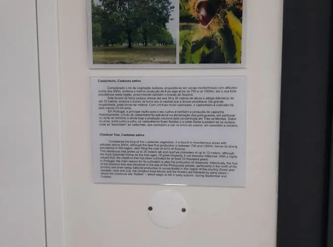 Casas Da Serra - Soeima Housing Hétvégi ház Alfândega da Fé