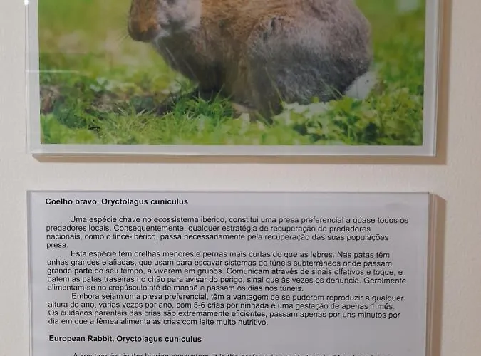 Casas Da Serra - Soeima Housing *