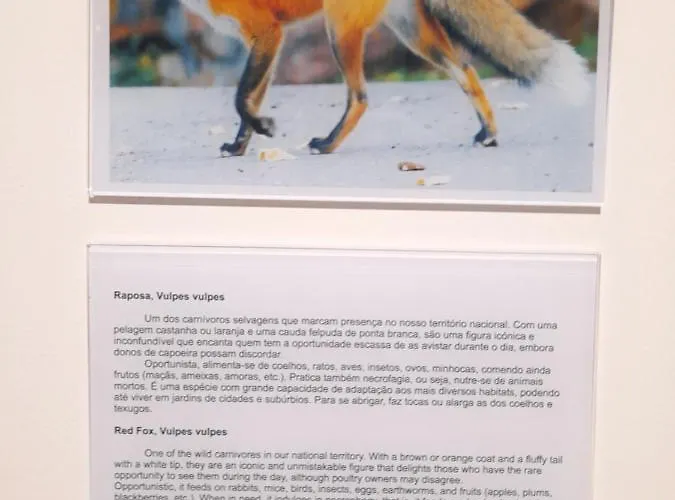 Casas Da Serra - Soeima Housing Hétvégi ház Alfândega da Fé