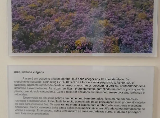 Casas Da Serra - Soeima Housing